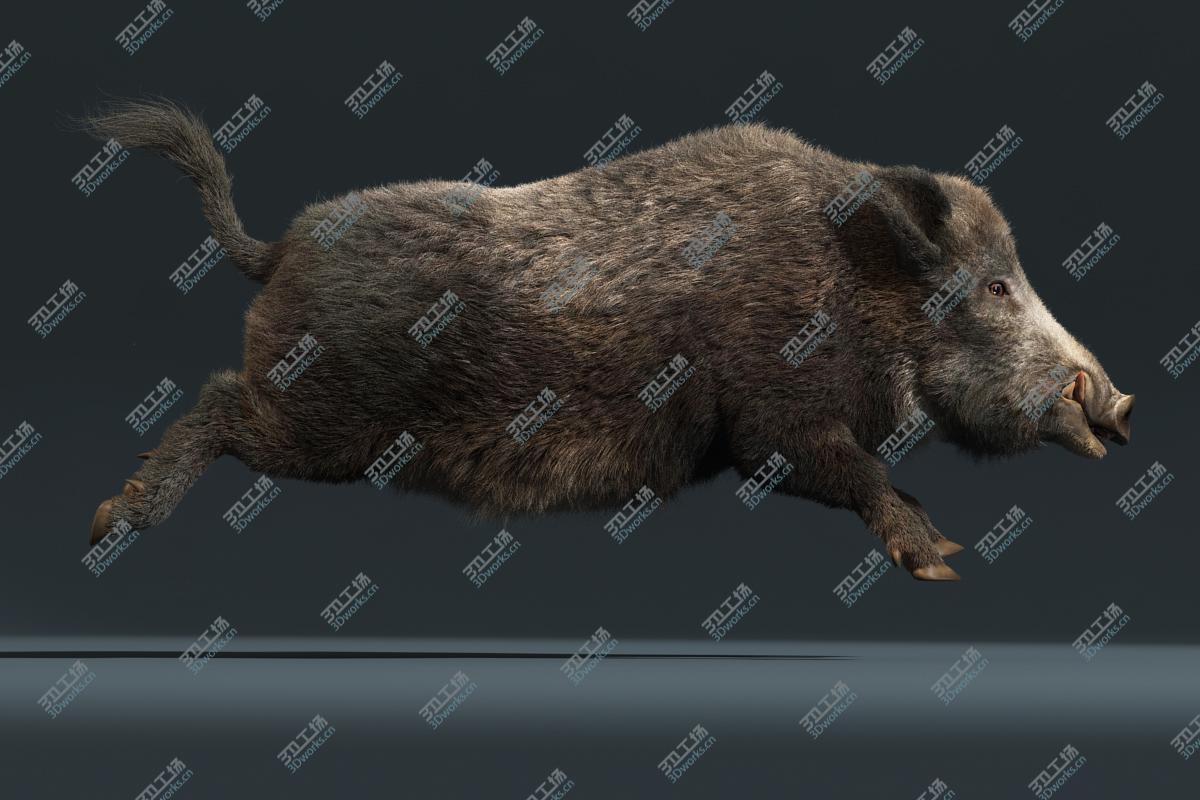 images/goods_img/20210113/Wild Boar(FUR)(RIGGED)/3.jpg